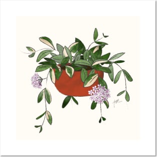 Hoya Carnosa in Red Pot Posters and Art